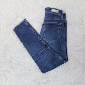 AG JBLUE JEANS HIGH RISE SKINNY ANGKLE SZ 26R